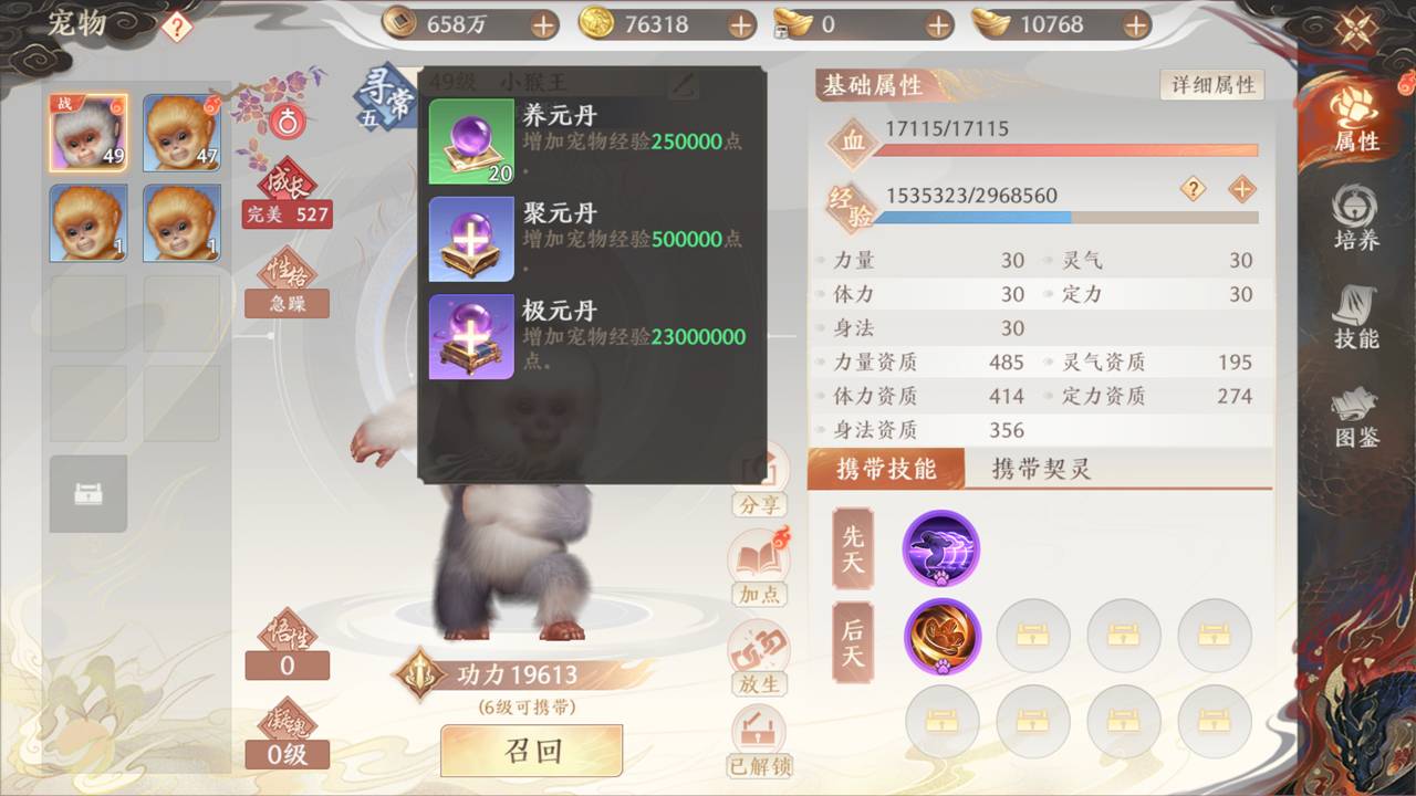 《天龙八部2:飞龙战天》强化养成-宠物养成图片_1