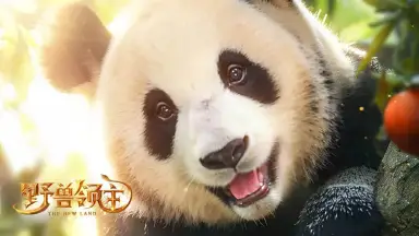 《野兽领主：新世界》新手攻略-资源为先图片