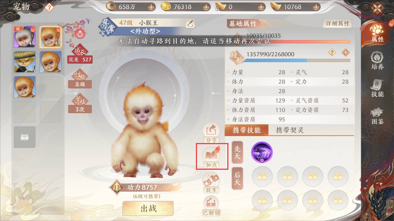 《天龙八部2:飞龙战天》强化养成-宠物养成图片_5