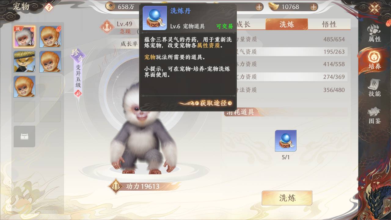 《天龙八部2:飞龙战天》强化养成-宠物养成图片_3