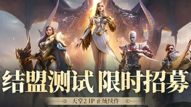 高画质3D手游，《天堂2盟约》测试资格发放图片