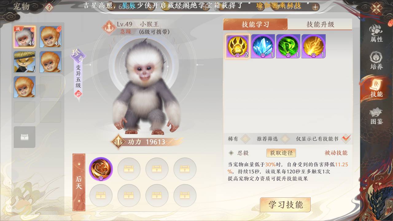 《天龙八部2:飞龙战天》强化养成-宠物养成图片_8