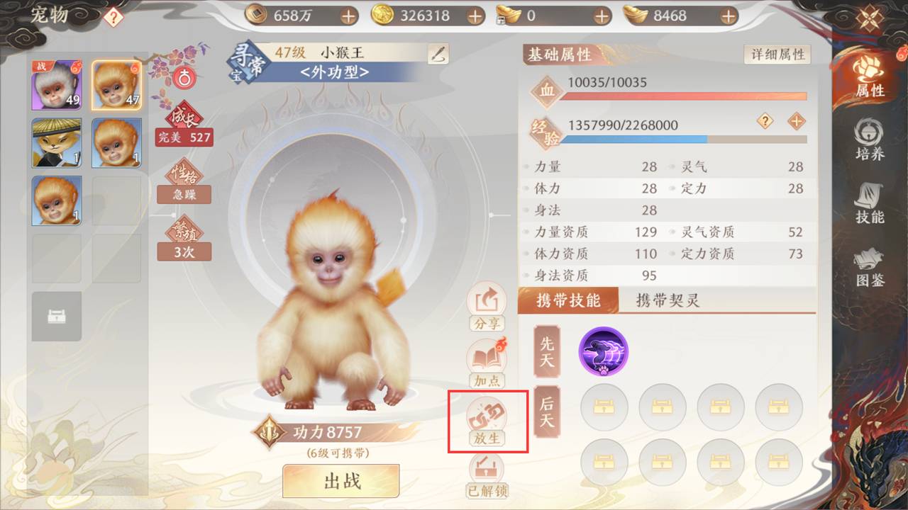 《天龙八部2:飞龙战天》强化养成-宠物养成图片_10