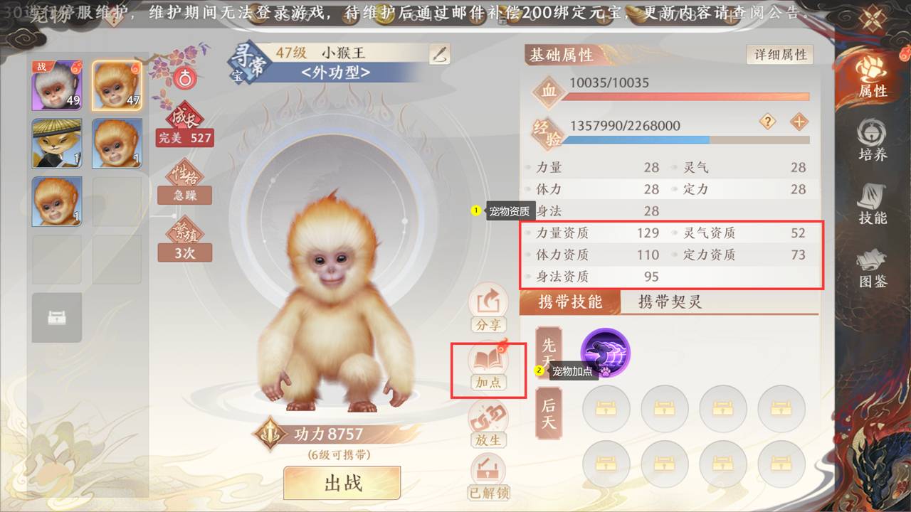 《天龙八部2:飞龙战天》强化养成-宠物养成图片_2