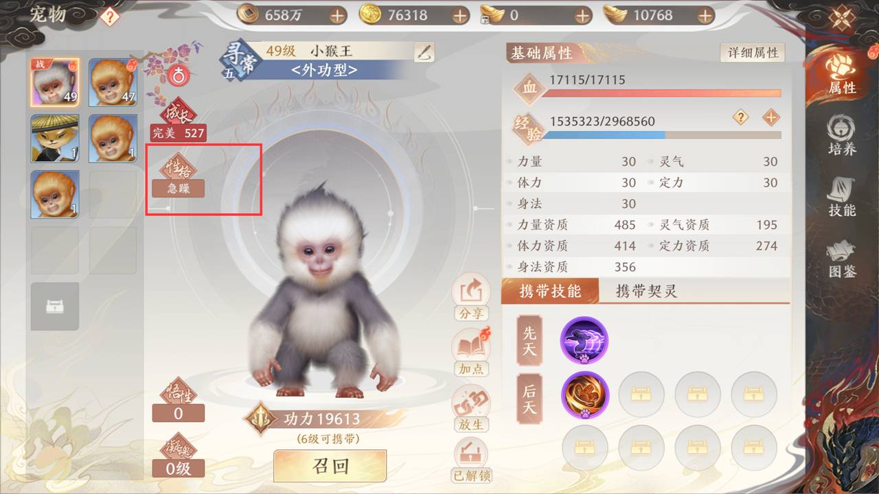 《天龙八部2:飞龙战天》强化养成-宠物养成图片_9