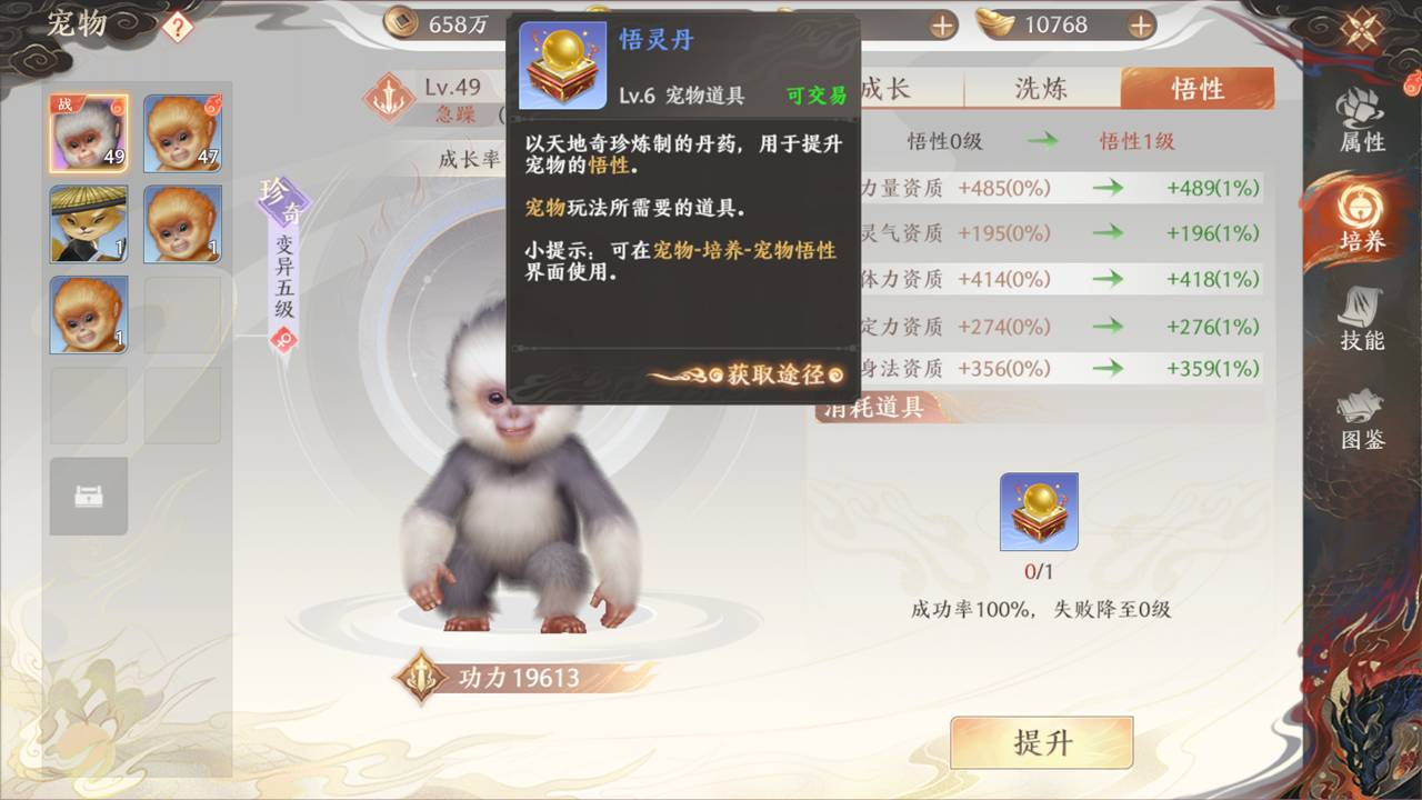 《天龙八部2:飞龙战天》强化养成-宠物养成图片_4