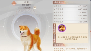 《天龙八部2：飞龙战天》 新手前期攻略图片