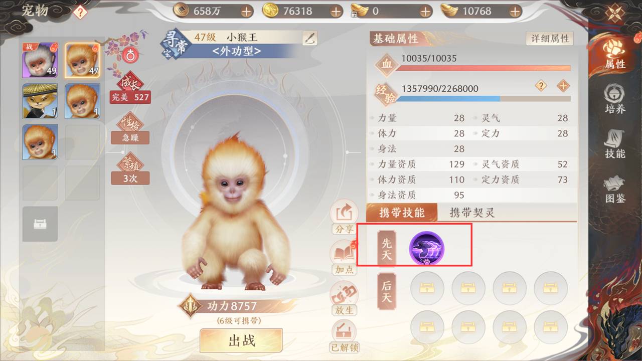 《天龙八部2:飞龙战天》强化养成-宠物养成图片_7