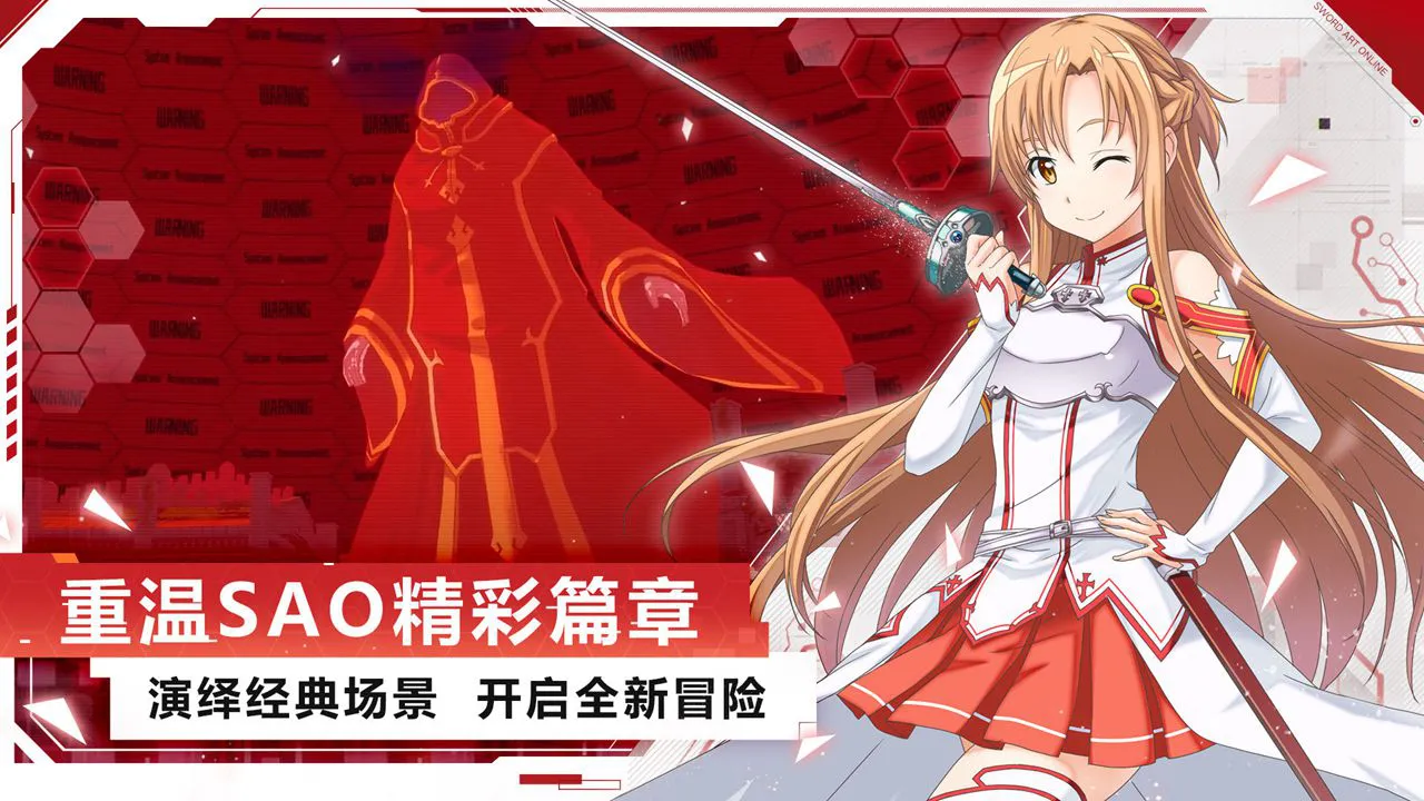 刀剑神域黑衣剑士：王牌图片