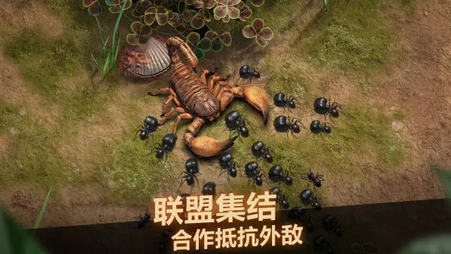 小小蚁国攻略-《小小蚁国》前期的生存小技巧图片