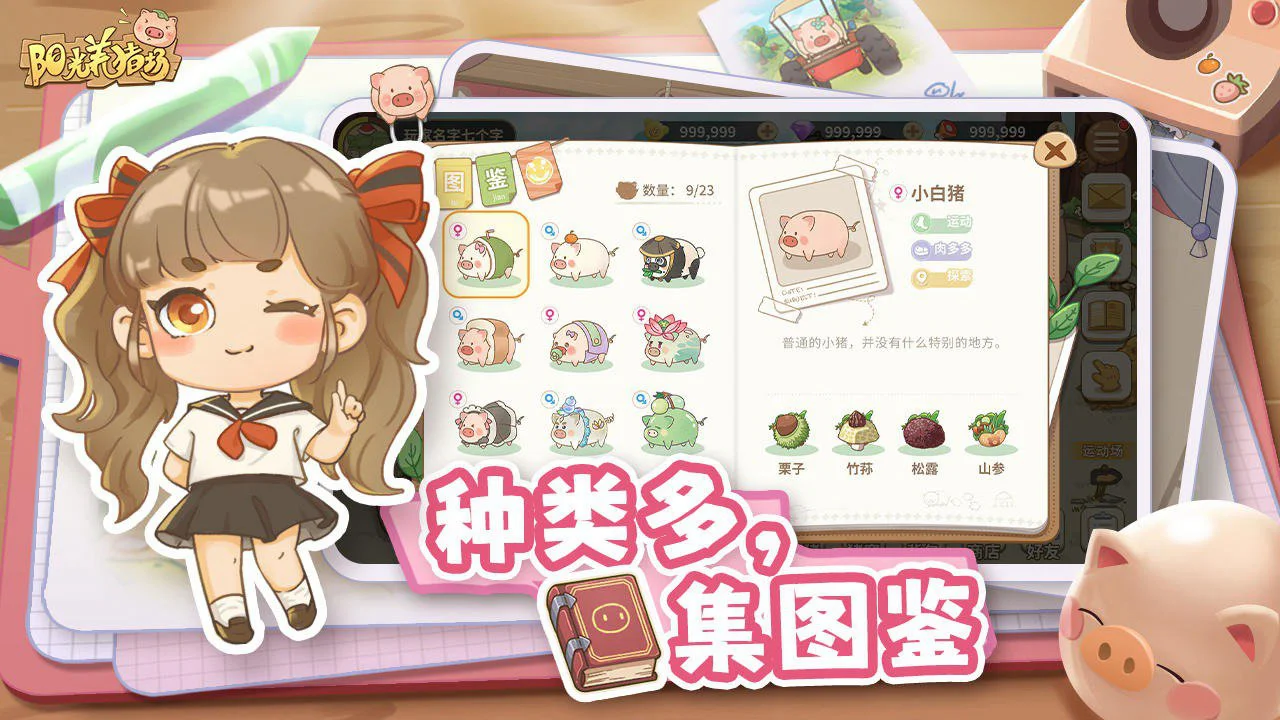 阳光养猪场图片