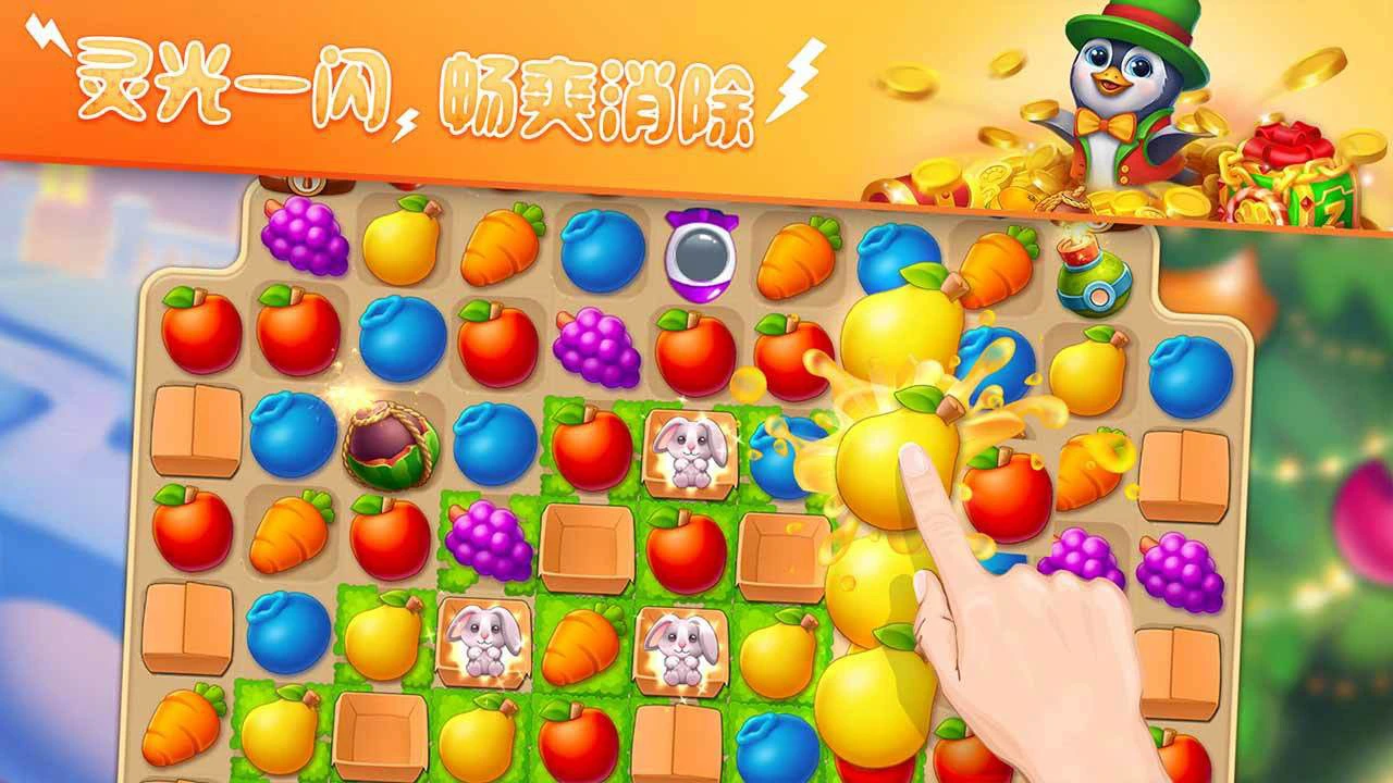 梦幻动物园图片