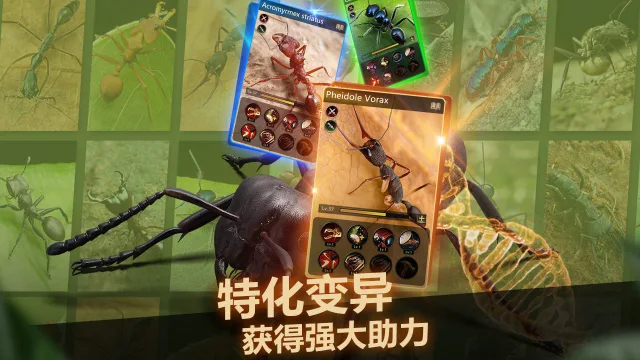 小小蚁国攻略-小小蚁国最强阵容攻略 小小蚁国兑换码图片