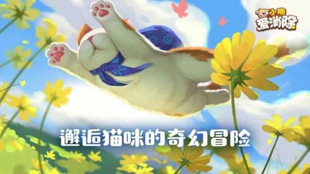 小猫爱消除电脑版怎么玩-模拟器多开及按键设置教程
图片