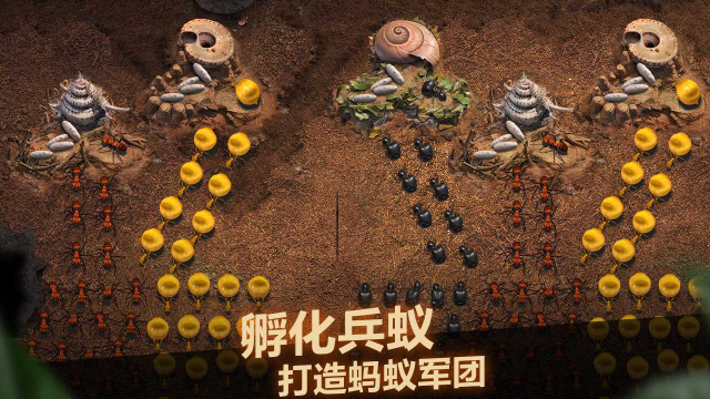 小小蚁国攻略-小小蚁国带兵量提升方法介绍图片