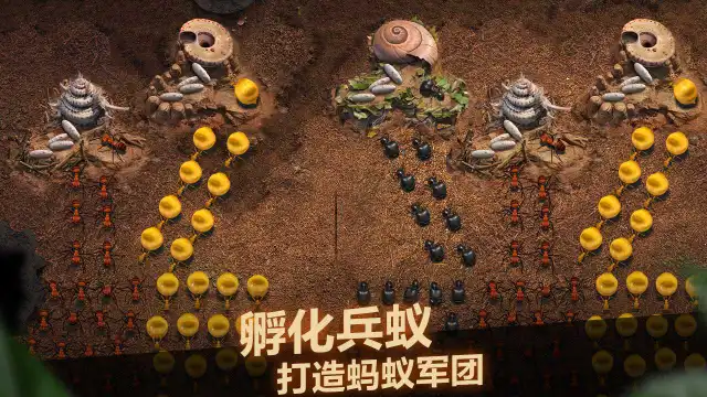 小小蚁国攻略-小小蚁国带兵量提升方法介绍图片