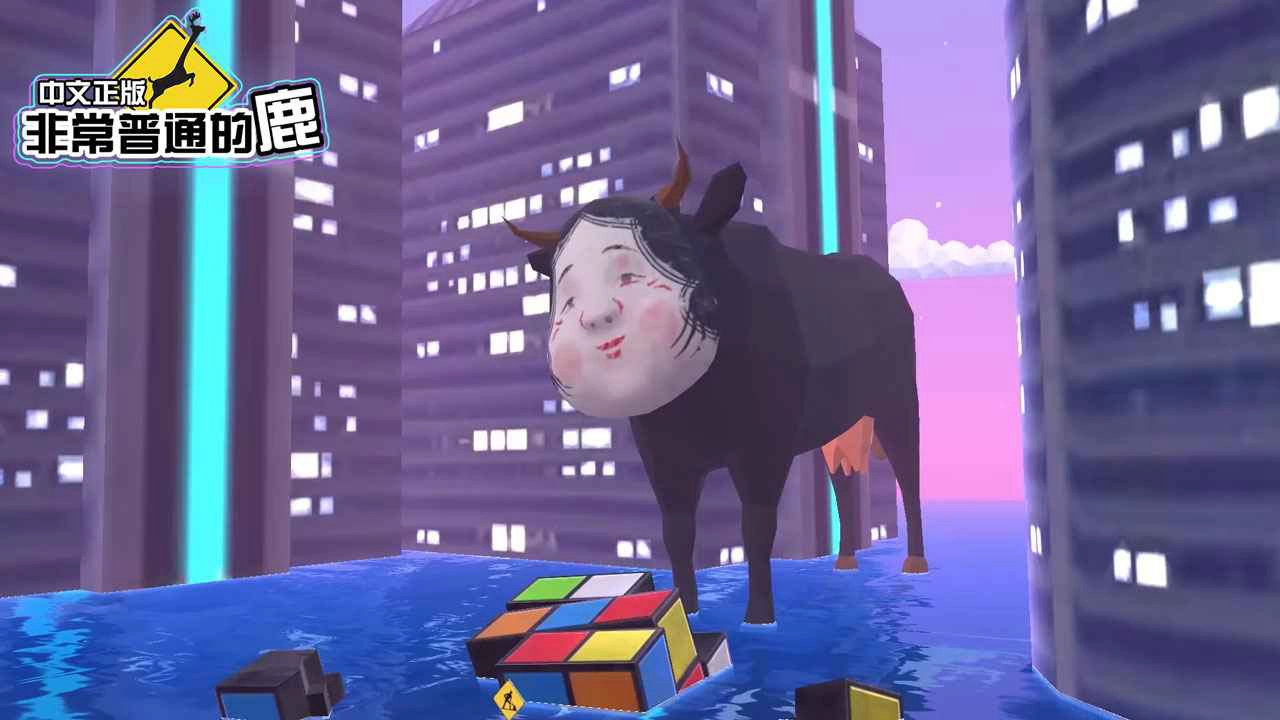 非常普通的鹿图片