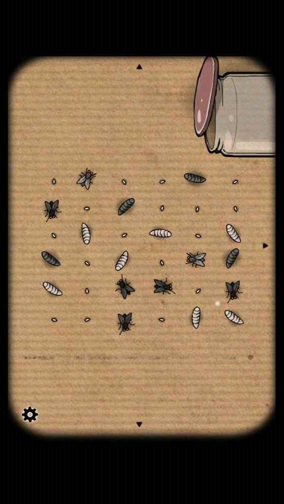 逃离方块哈维的盒子图片_4