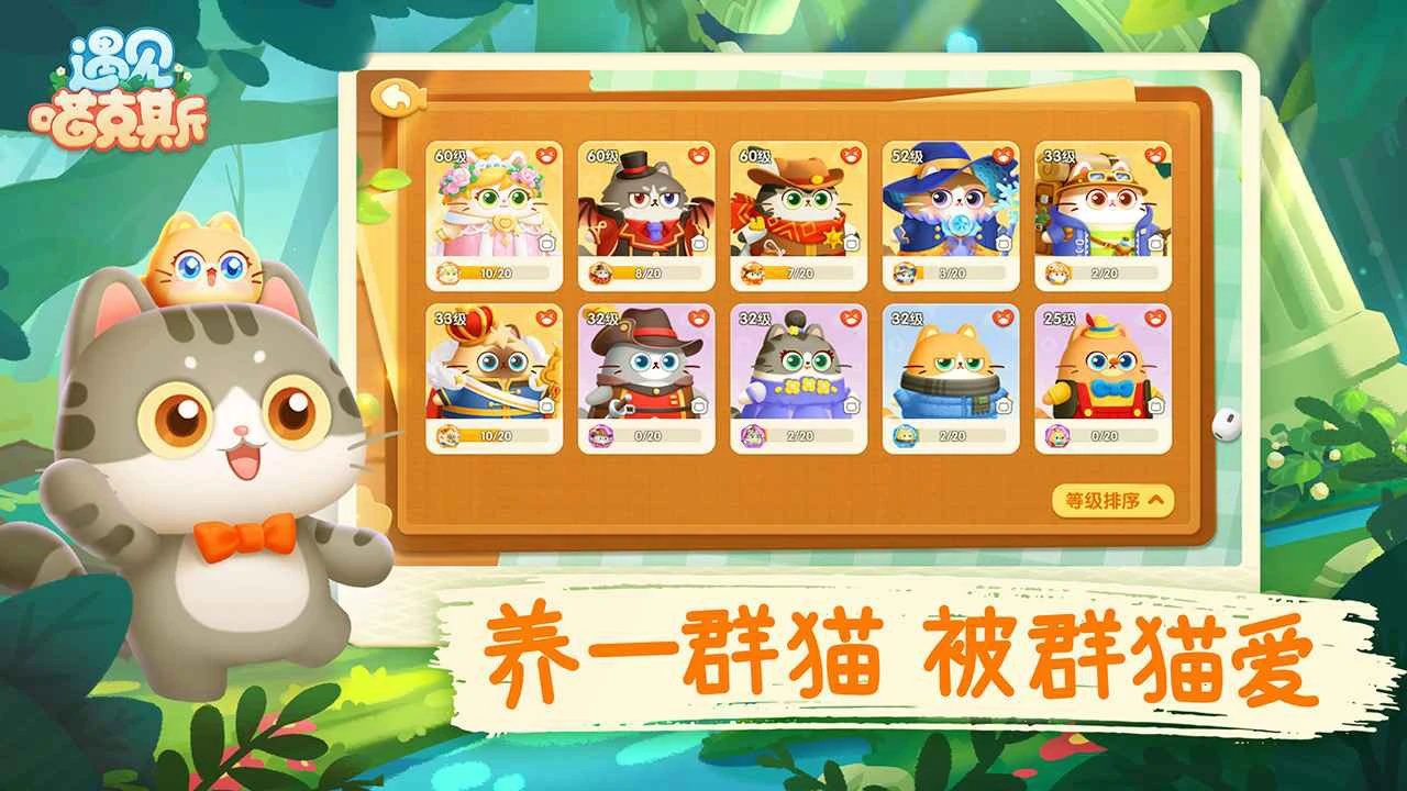 遇见喵克斯图片