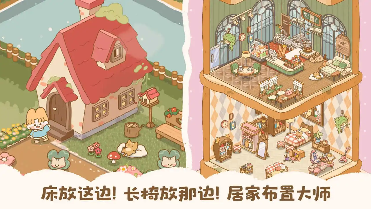 喵喵食谱日记图片