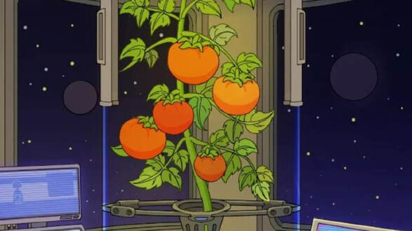 宇宙农场物语图片
