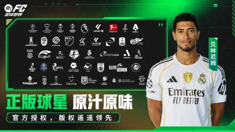 FC足球世界图片_4