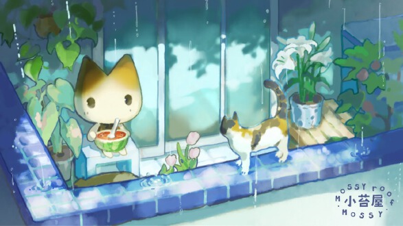 小苔屋图片