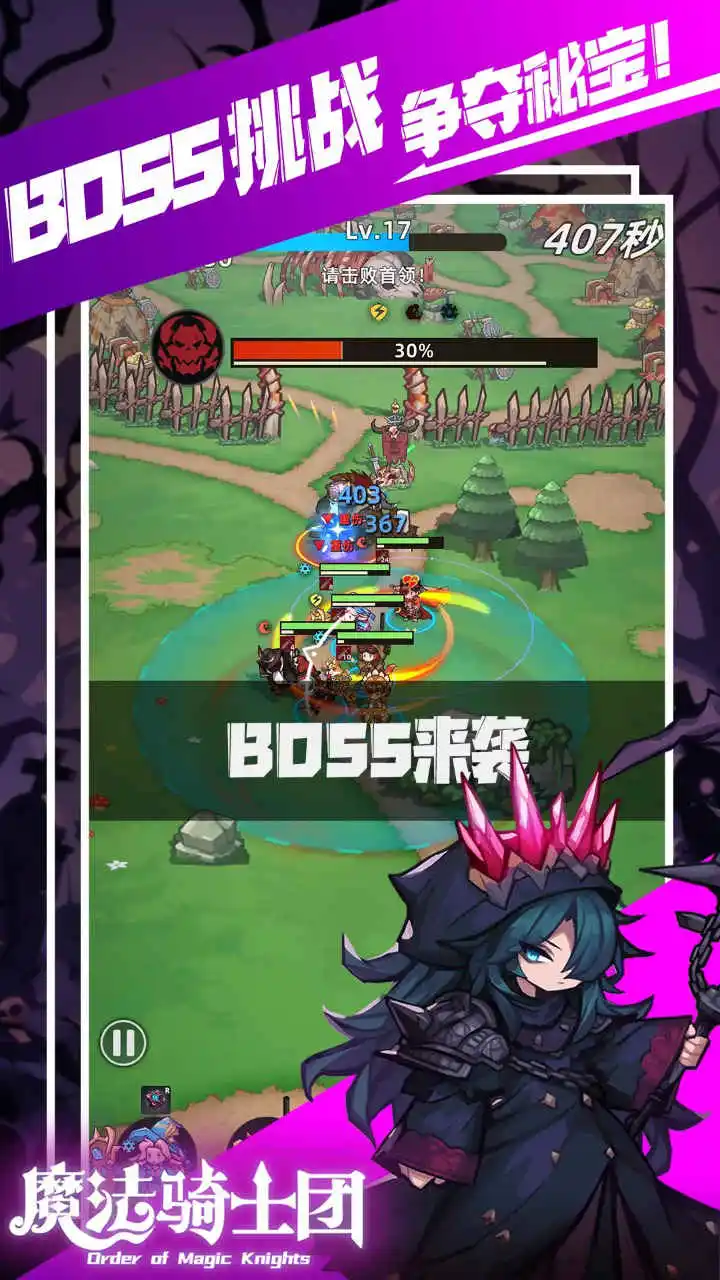 魔法骑士团图片