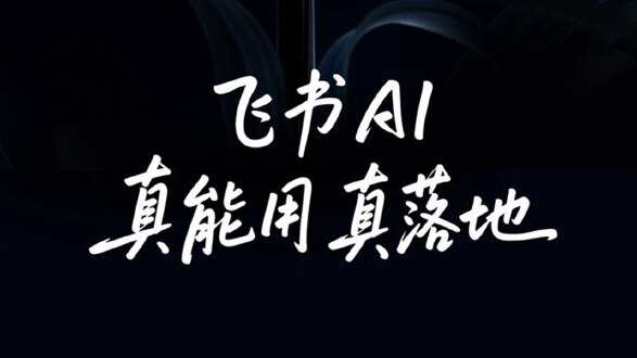 飞书图片