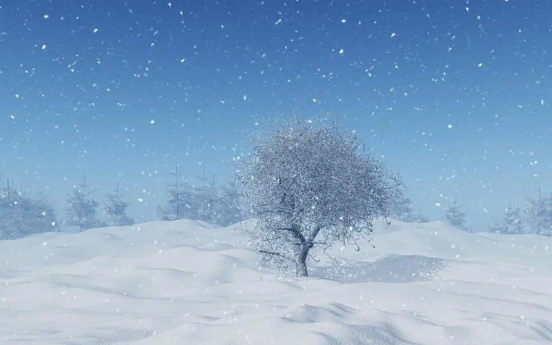 测试zzc1234567电脑版怎么玩-模拟器多开及按键设置教程图片