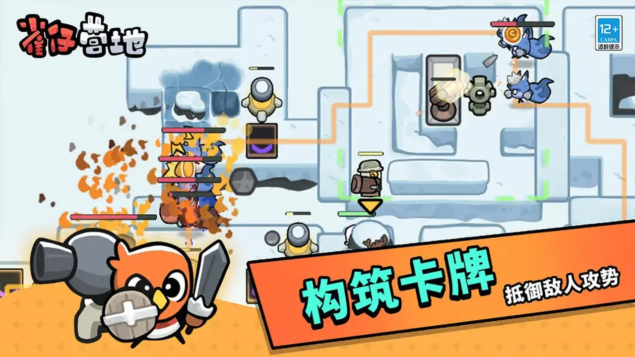 雀仔营地图片