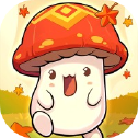彩虹之光停运