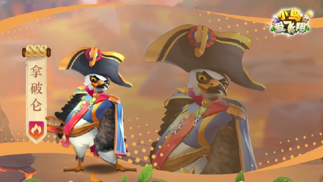 《小鸟爱飞翔》英雄档案第13弹丨环嘴鸥「拿破仑」图片