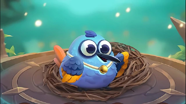 《小鸟爱飞翔》萌宠图鉴丨金翅水鸲图片