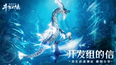 《斗罗大陆：诛邪传说》开发组的信 |「双生武魂测试」回顾与展望图片