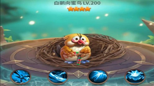 《小鸟爱飞翔》萌宠图鉴丨白鹂向蜜鸟图片