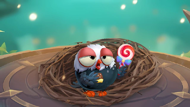 《小鸟爱飞翔》萌宠图鉴丨红嘴黑鹗图片