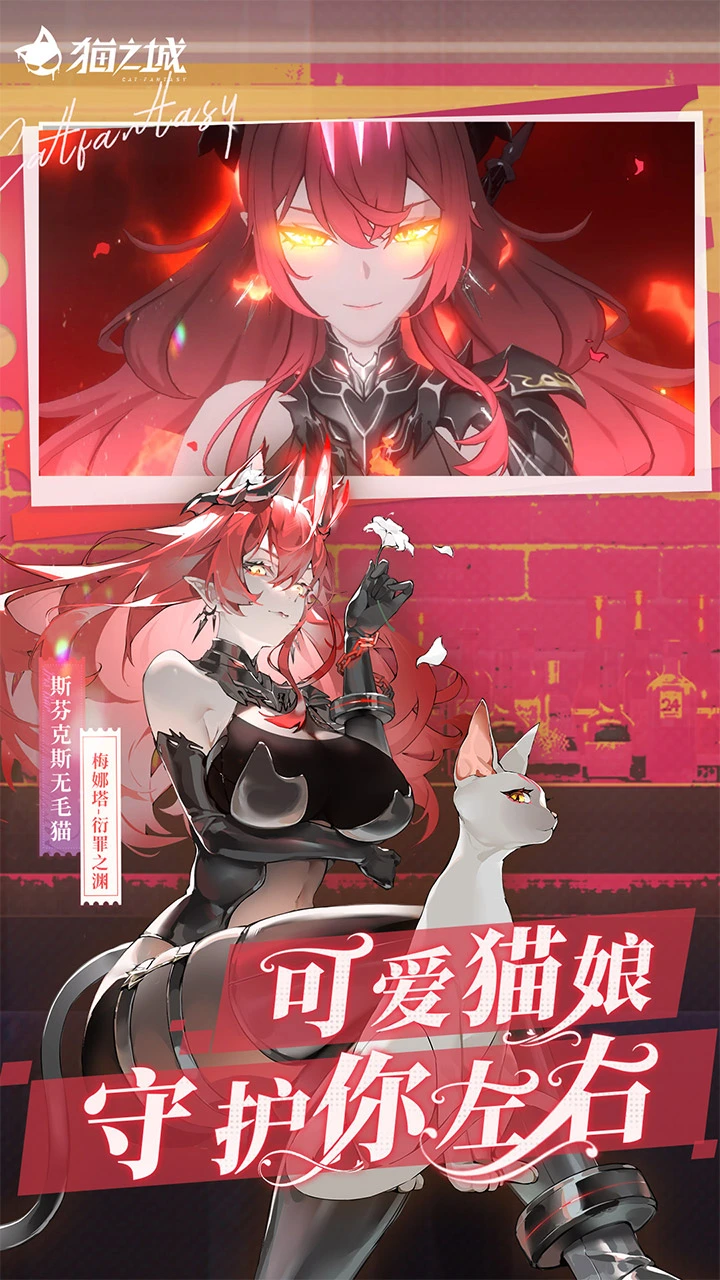 猫之城图片