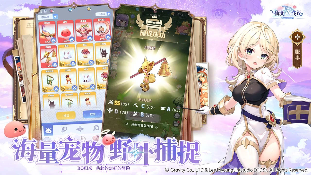仙境传说之约定好的冒险图片