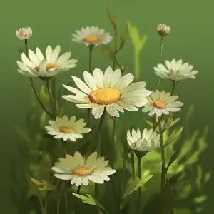 《新莊園時(shí)代》花草物語(yǔ)之瑪格麗特圖片_1