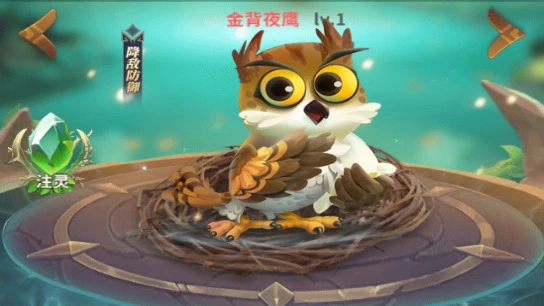 《小鸟爱飞翔》萌宠图鉴丨金背夜鹰图片