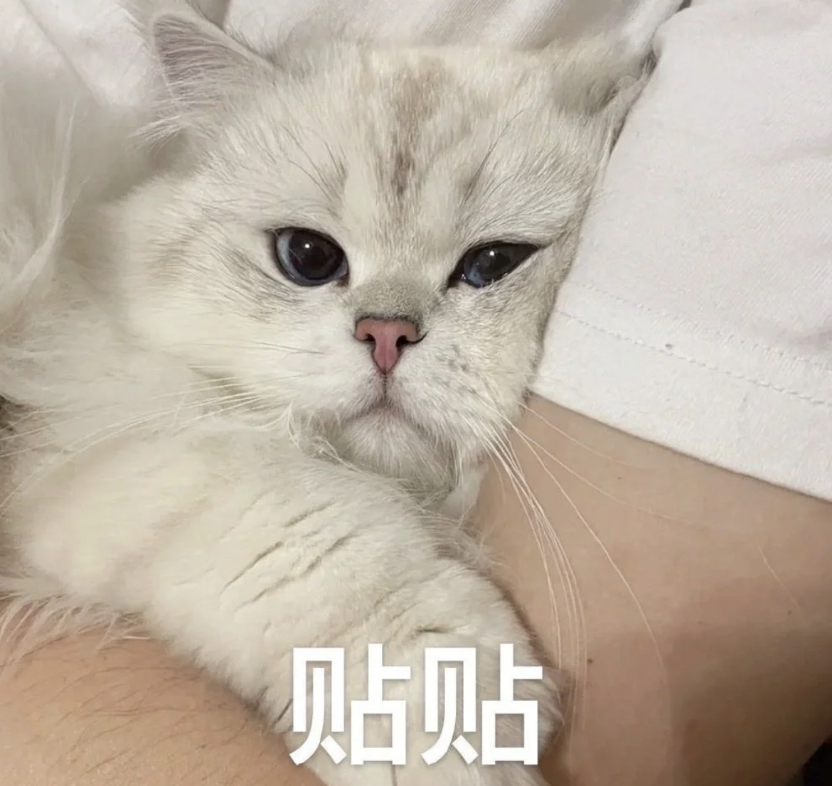 無(wú)盡紛爭(zhēng)|勇者之路 ?羽翼? 流光翅展，翼靈共鳴破穹蒼！圖片_2