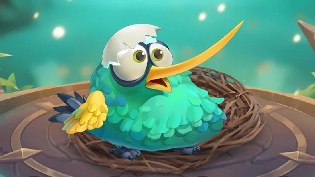 《小鸟爱飞翔》萌宠图鉴丨红颈翠蜂鸟图片