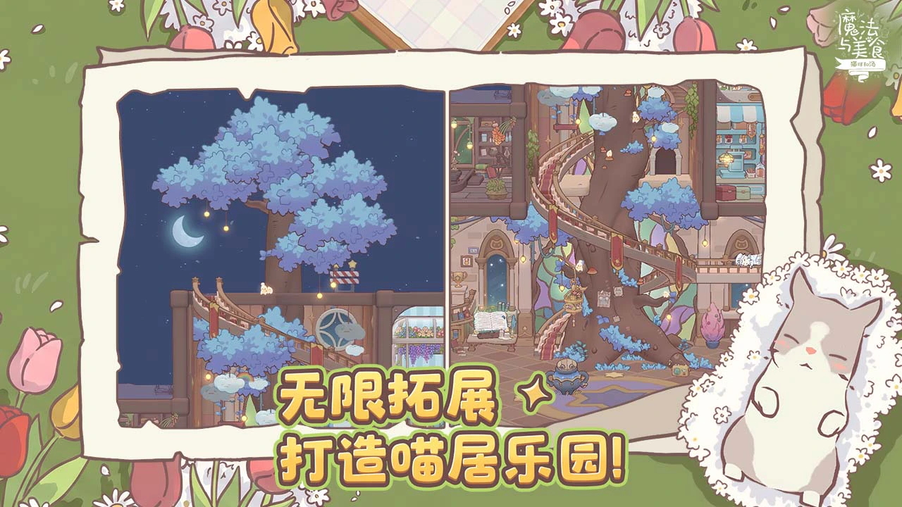 猫咪和汤:魔法与美食图片