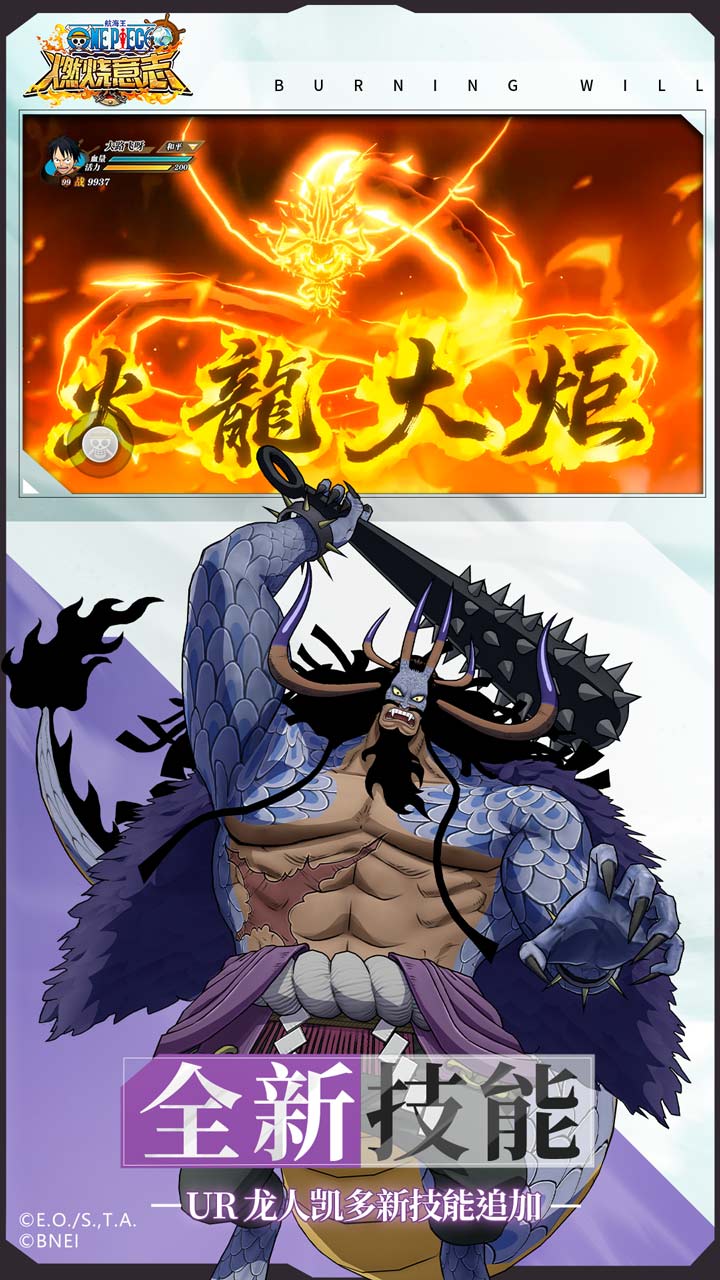 航海王燃燒意志圖片_5