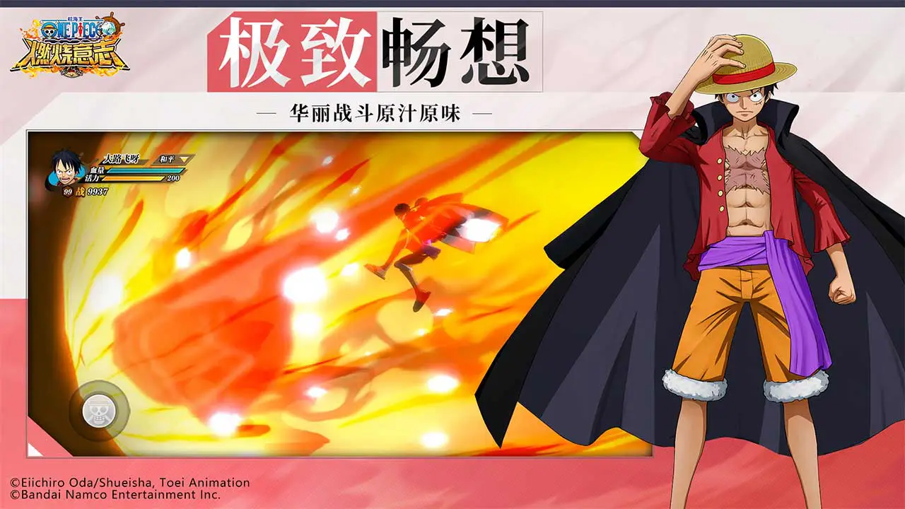 航海王：燃烧意志图片