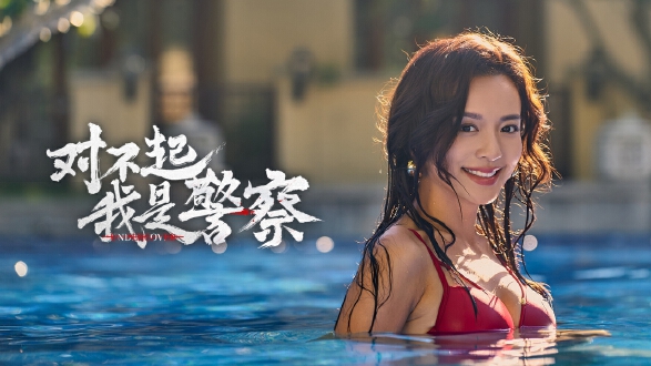 对不起我是警察图片