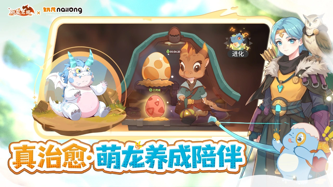 驯龙之旅图片