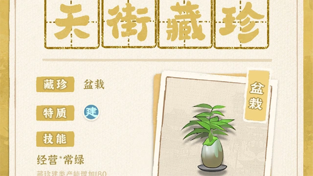 《从前有条街》【天街藏珍】在大风天需要注意的盆栽图片