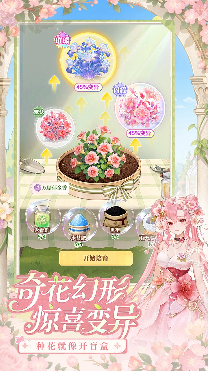 花开时见你图片